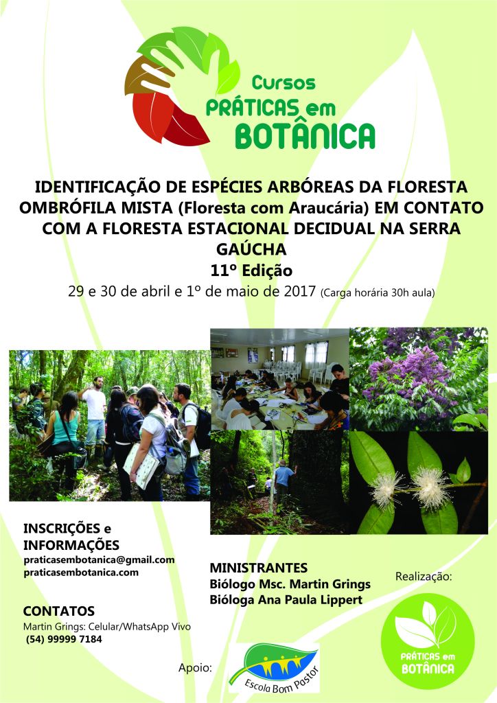 cartaz-curso-nova-petropolis-2017