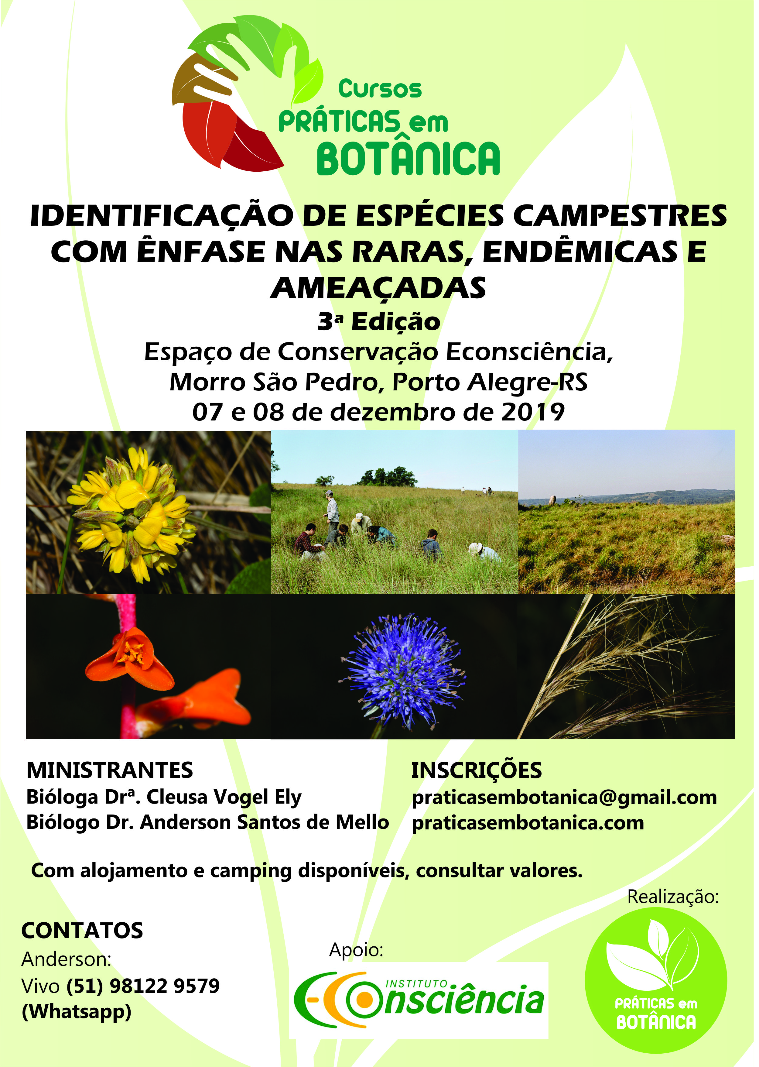 Cartaz Curso Identificação Campestres Porto Alegre_2019